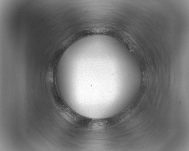 X0000073830368200608311915