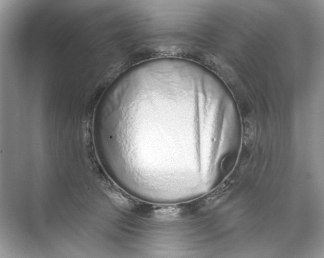 X0000073830369200608311915