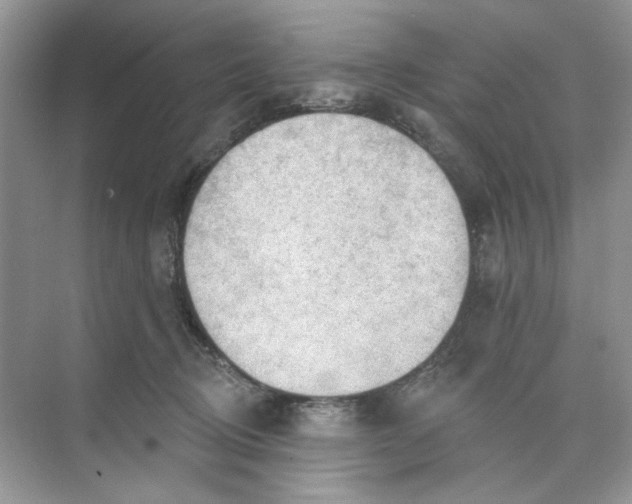 X0000073830370200608311915