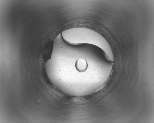 X0000073830372200608311915