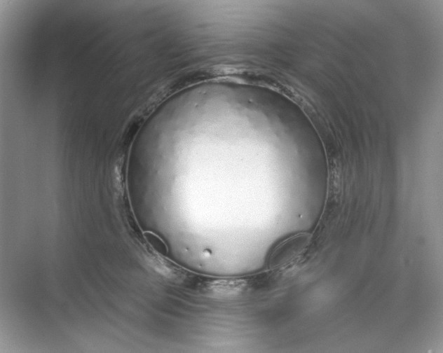 X0000073830373200608311915