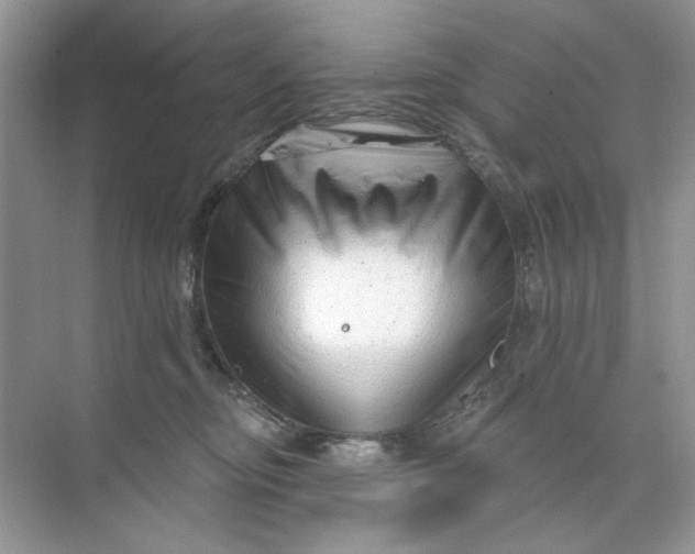 X0000073830374200608311915