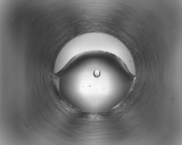 X0000073830376200608311915