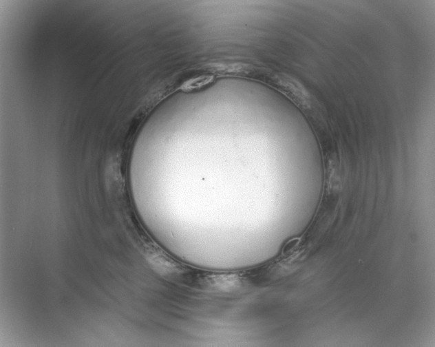 X0000073830377200608311915