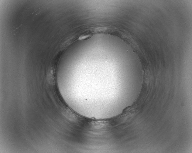 X0000073830378200608311915