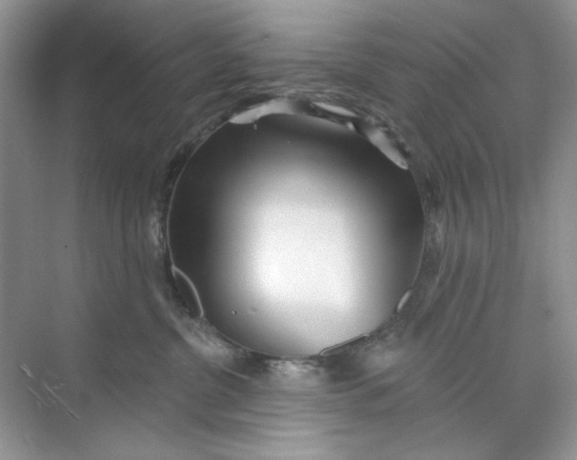 X0000073830380200608311915