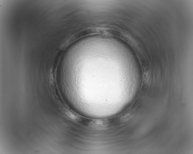 X0000073830381200608311915