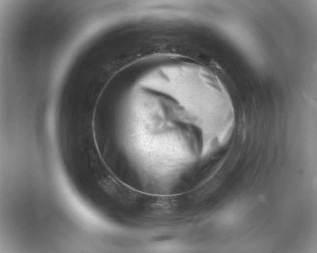 X0000073830383200608311915