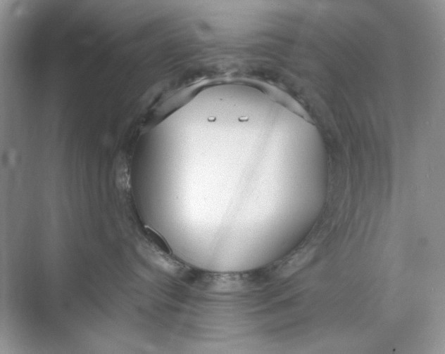 X0000073830384200608311915