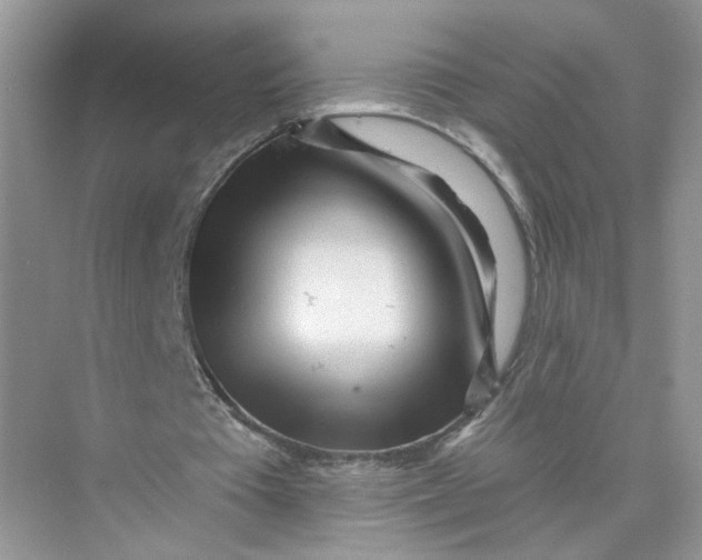 X0000073830385200608311914