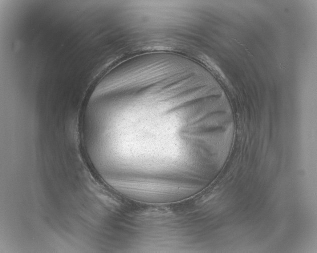 X0000073830386200608311914