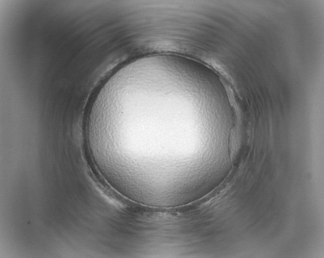 X0000073830390200608311914