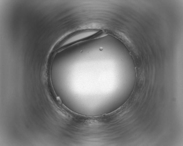 X0000073830392200608311914