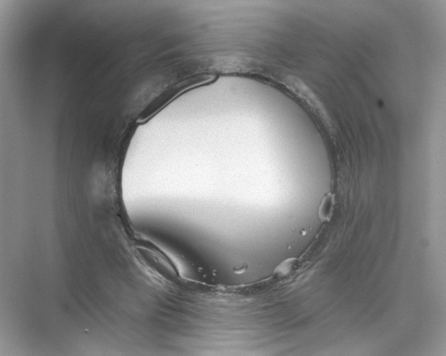 X0000073830393200608311914