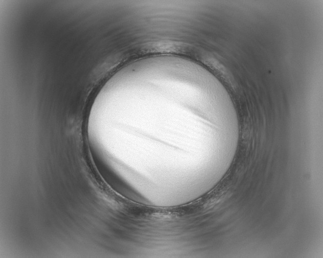 X0000073830394200608311914