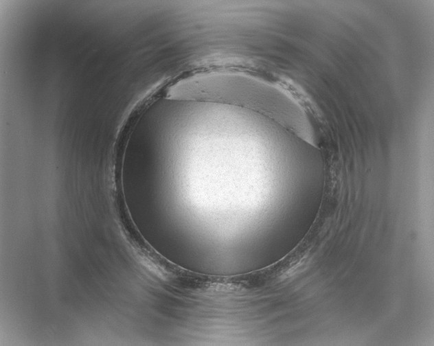 X0000073830399200608311914