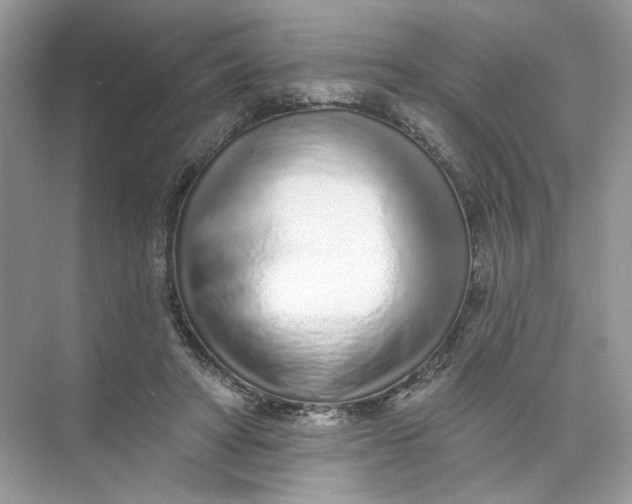 X0000073830402200608311914