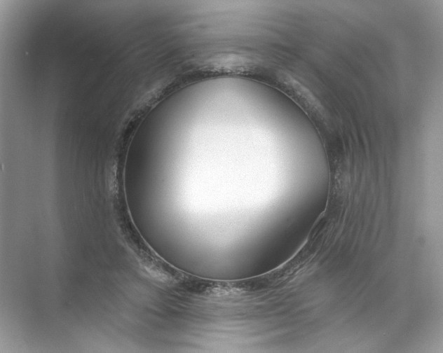 X0000073830403200608311914