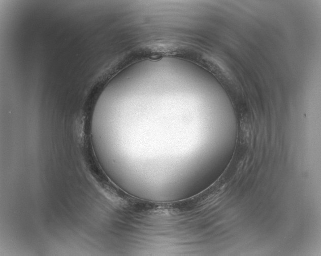 X0000073830404200608311914