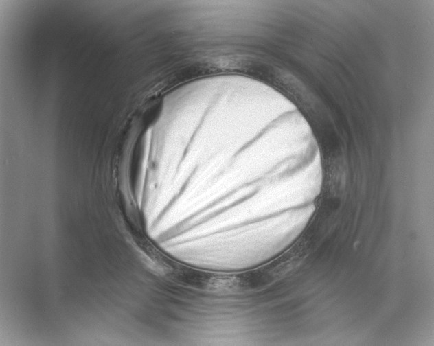 X0000073830410200608311914