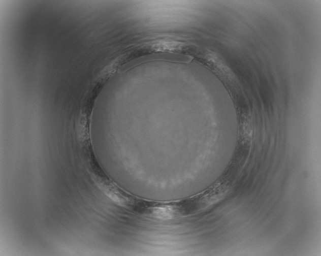 X0000073830411200608311914