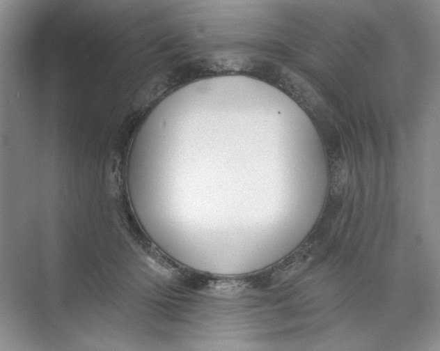 X0000073830414200608311914