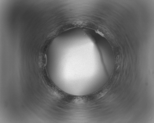 X0000073830416200608311914