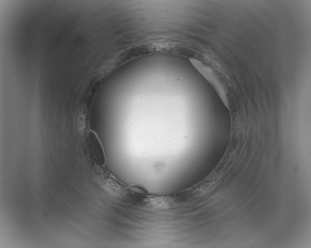 X0000073830417200608311914