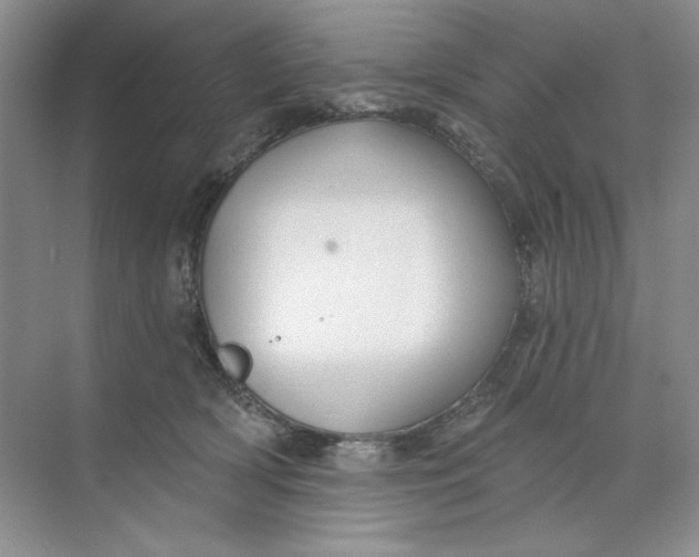 X0000073830418200608311913