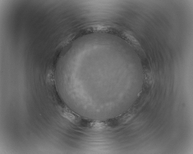 X0000073830419200608311913