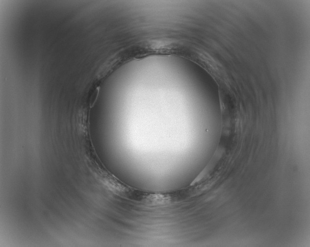 X0000073830421200608311913