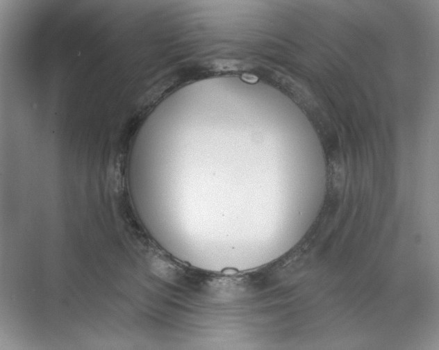 X0000073830422200608311913