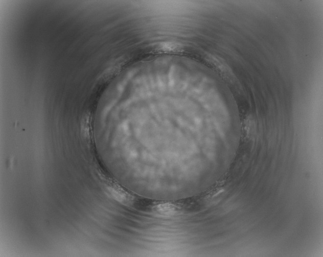 X0000073830423200608311913