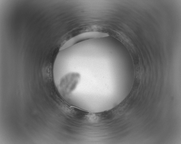 X0000073830425200608311913