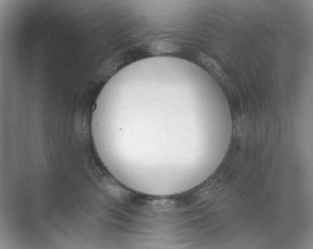 X0000073830426200608311913