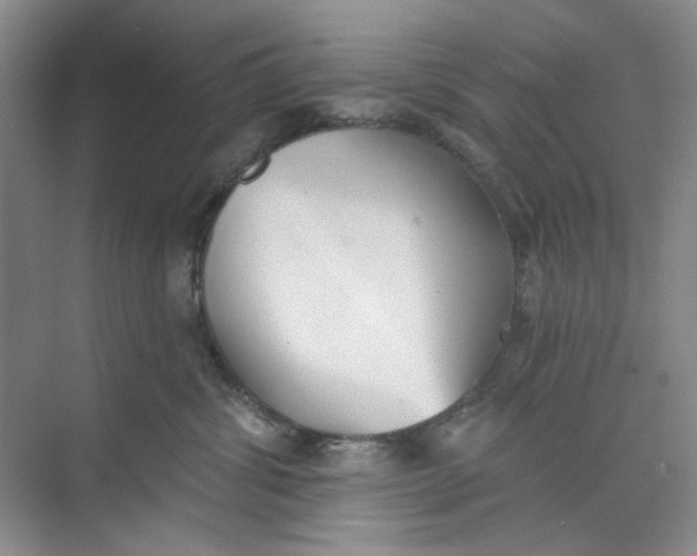 X0000073830428200608311913