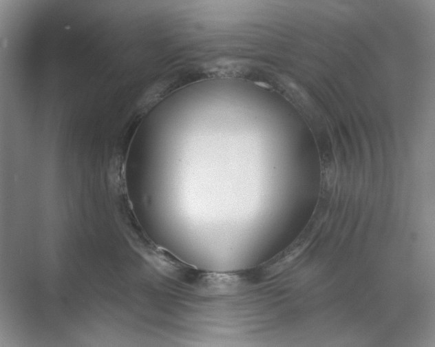 X0000073830429200608311913