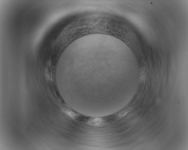 X0000073830431200608311913