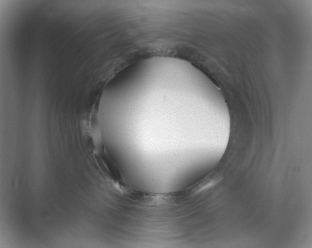 X0000073830432200608311913