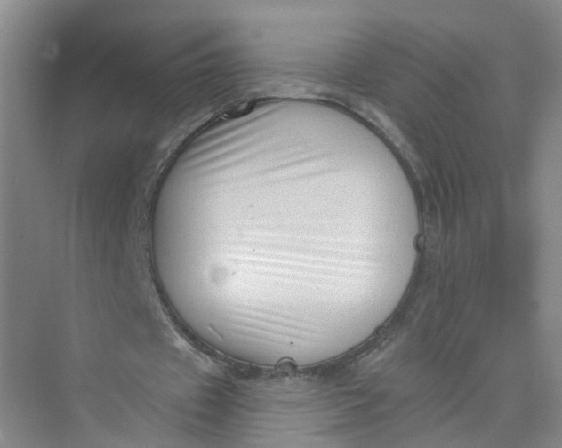 X0000073830433200608311912