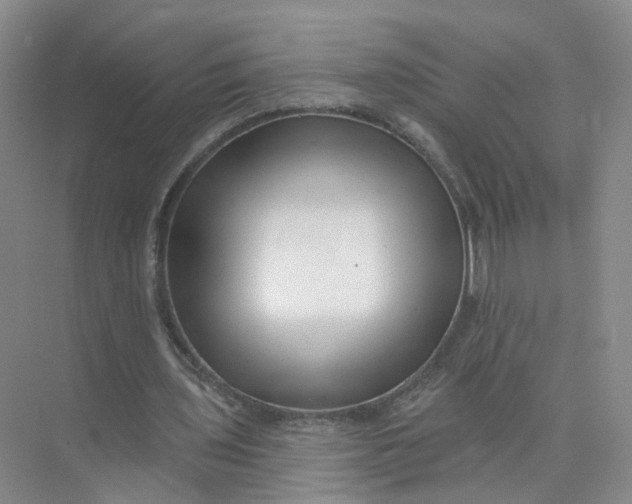 X0000073830435200608311912