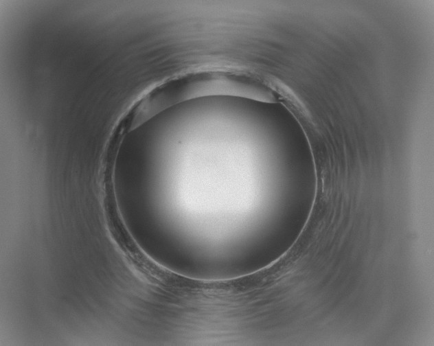 X0000073830436200608311912