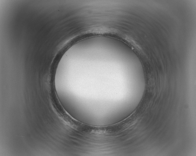 X0000073830440200608311913