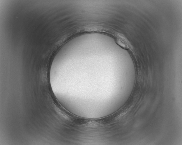 X0000073830441200608311913