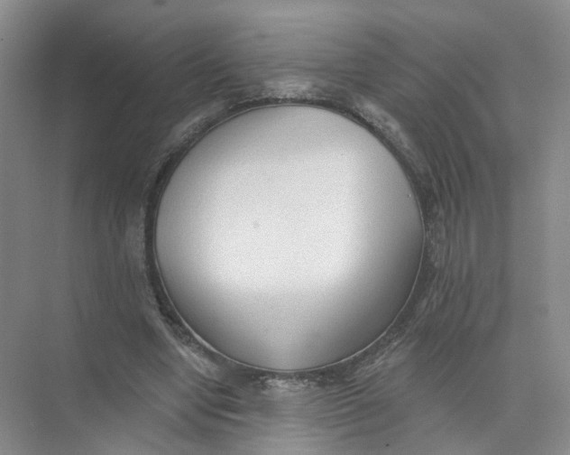 X0000073830442200608311913