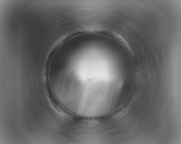 X0000073830443200608311913