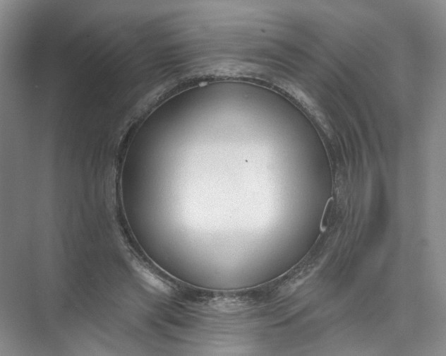 X0000073830445200608311913