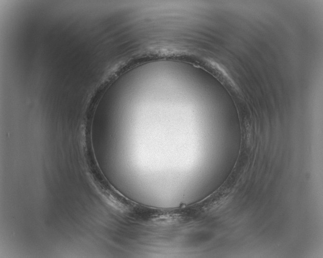 X0000073830447200608311913