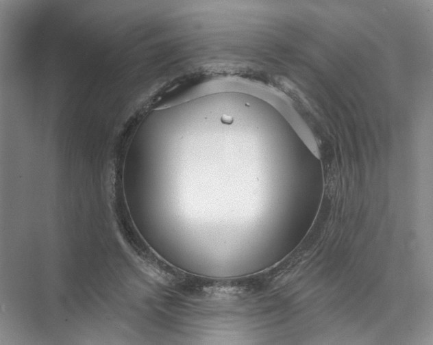 X0000073830448200608311913