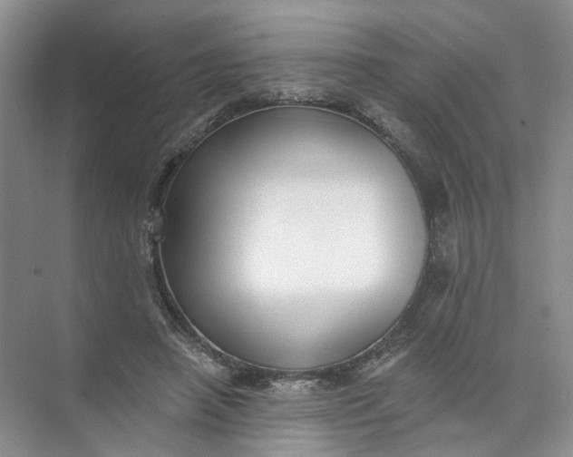 X0000073830450200608311913